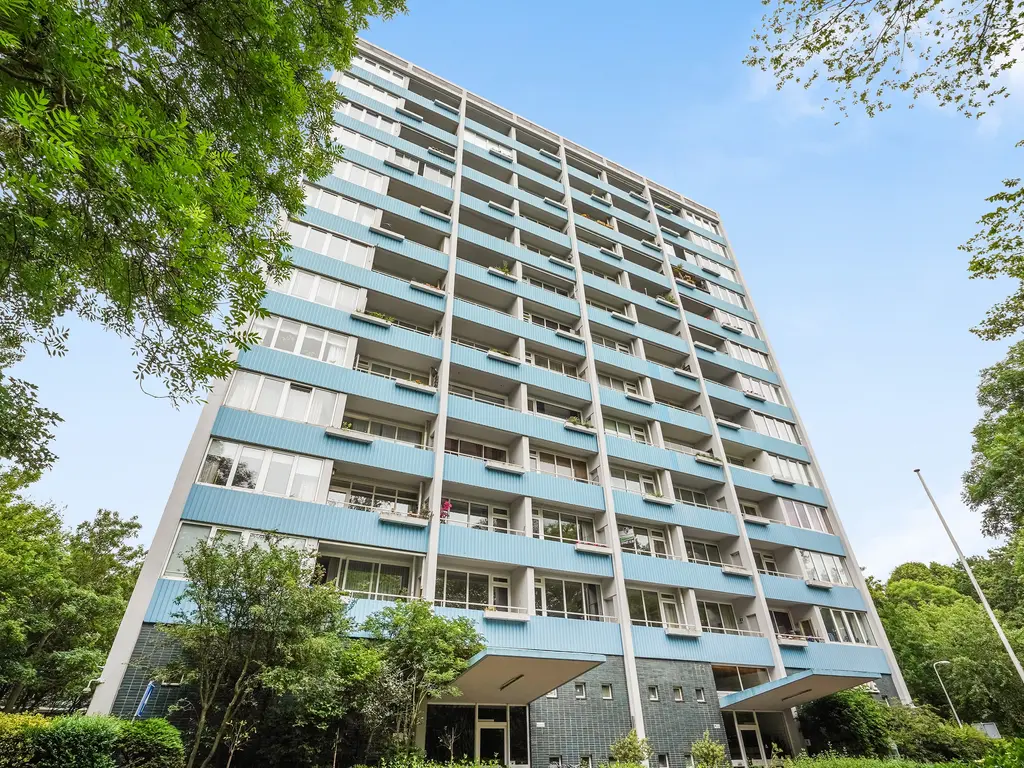 Heliotrooplaan 314, Den Haag