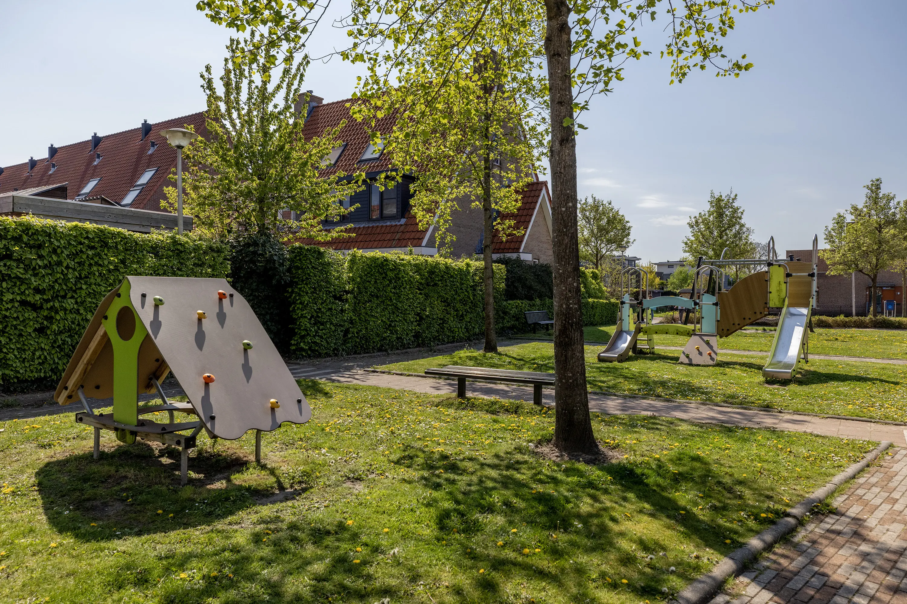 Riedermeet 26