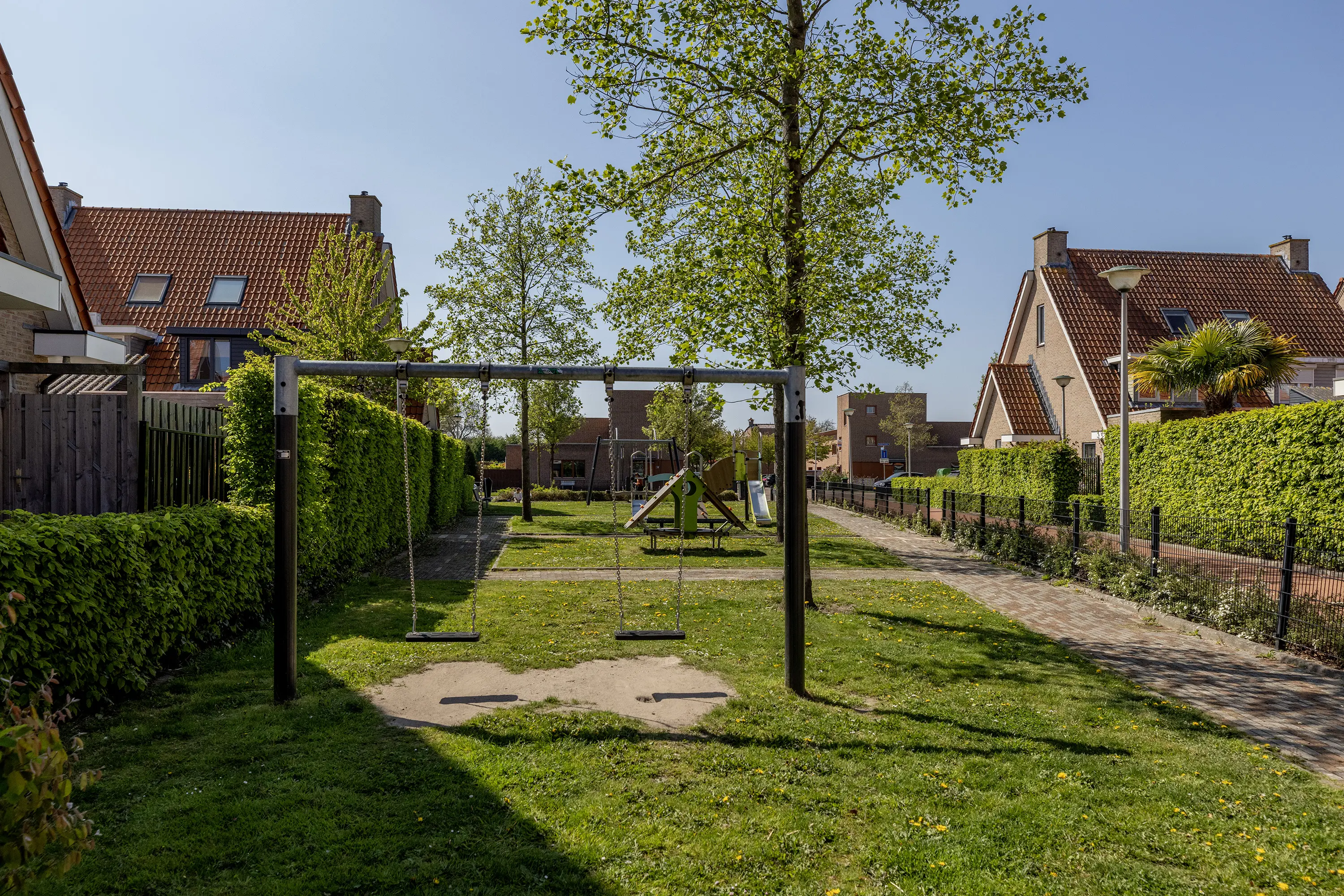 Riedermeet 26