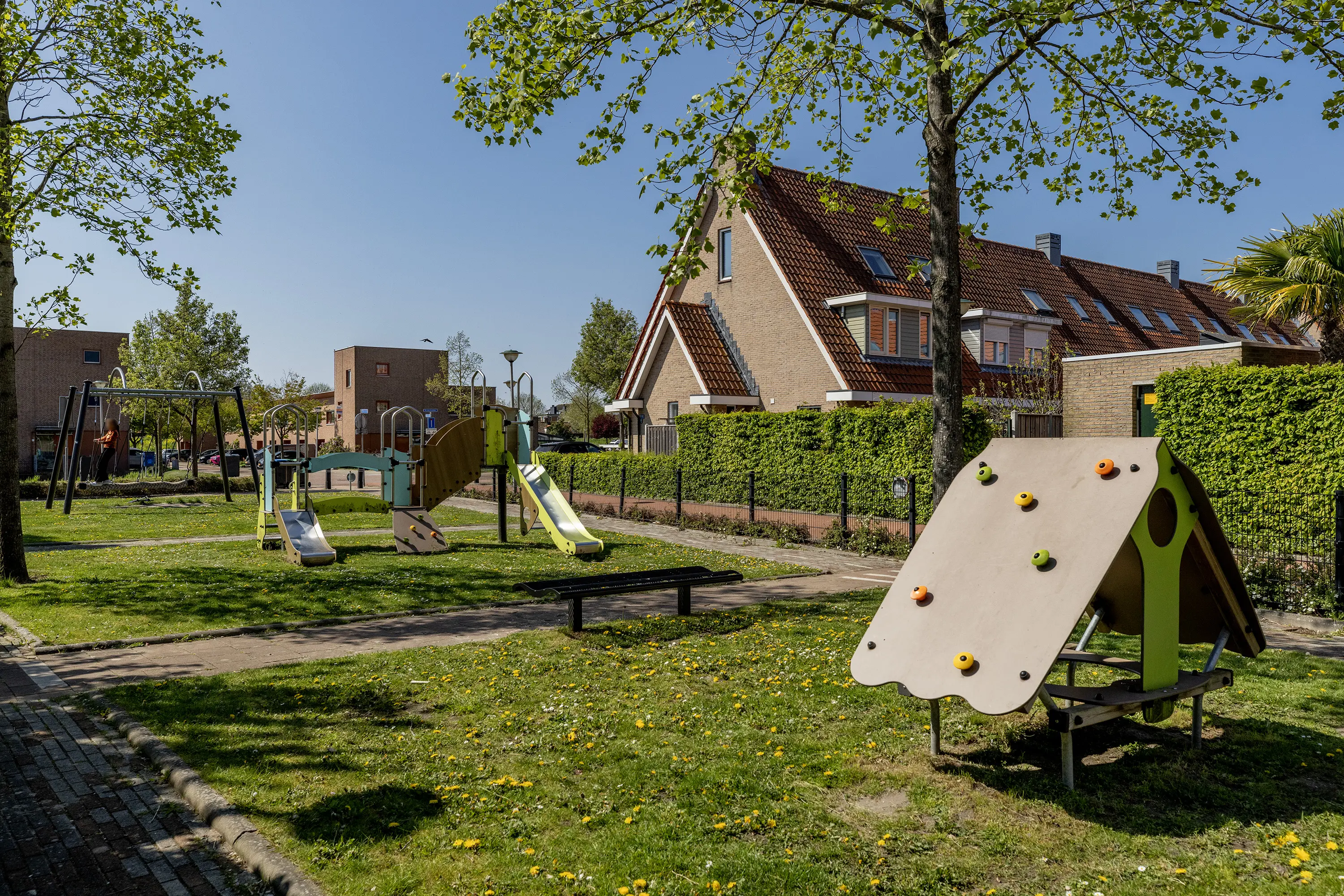 Riedermeet 26
