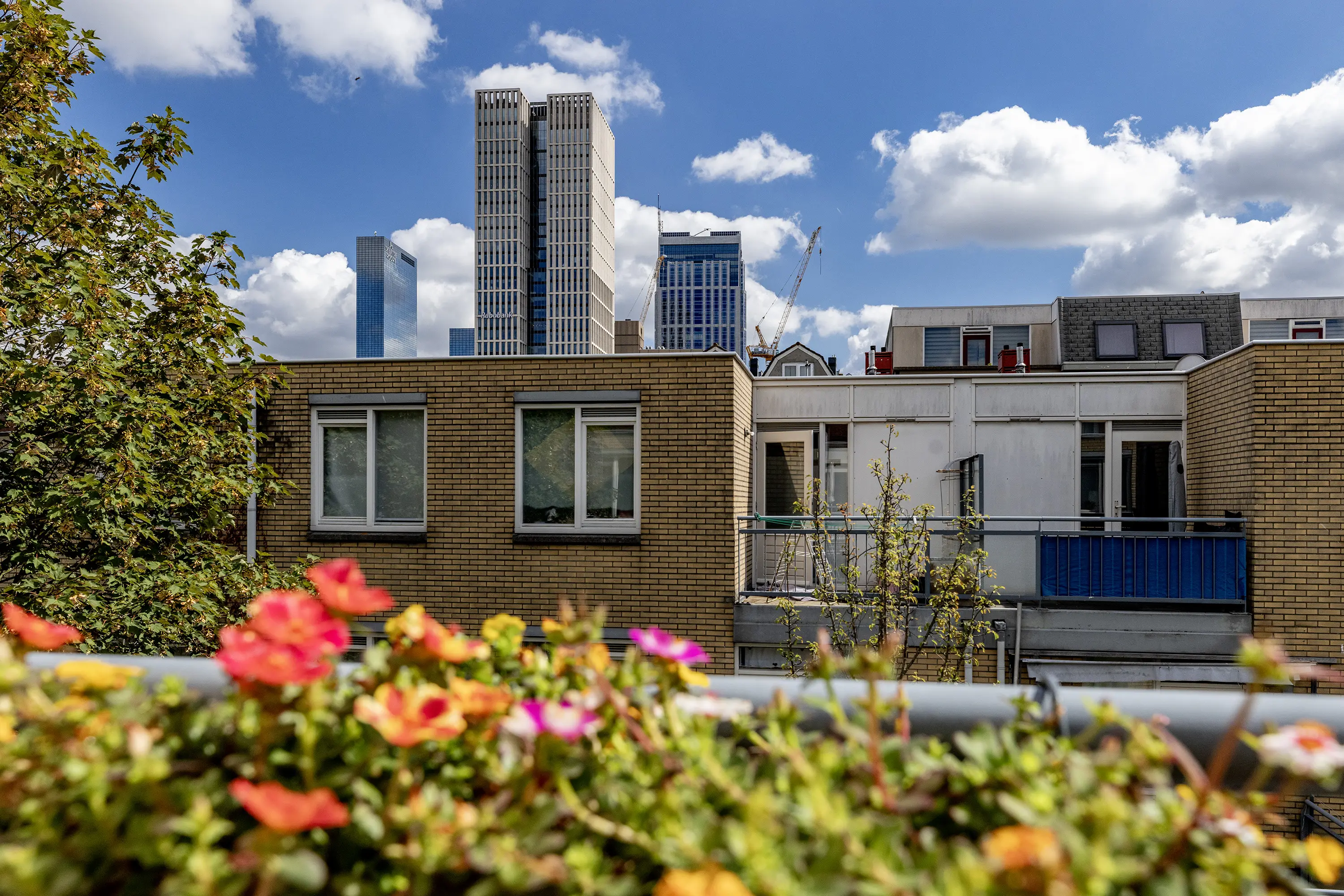 Zijdewindestraat 114