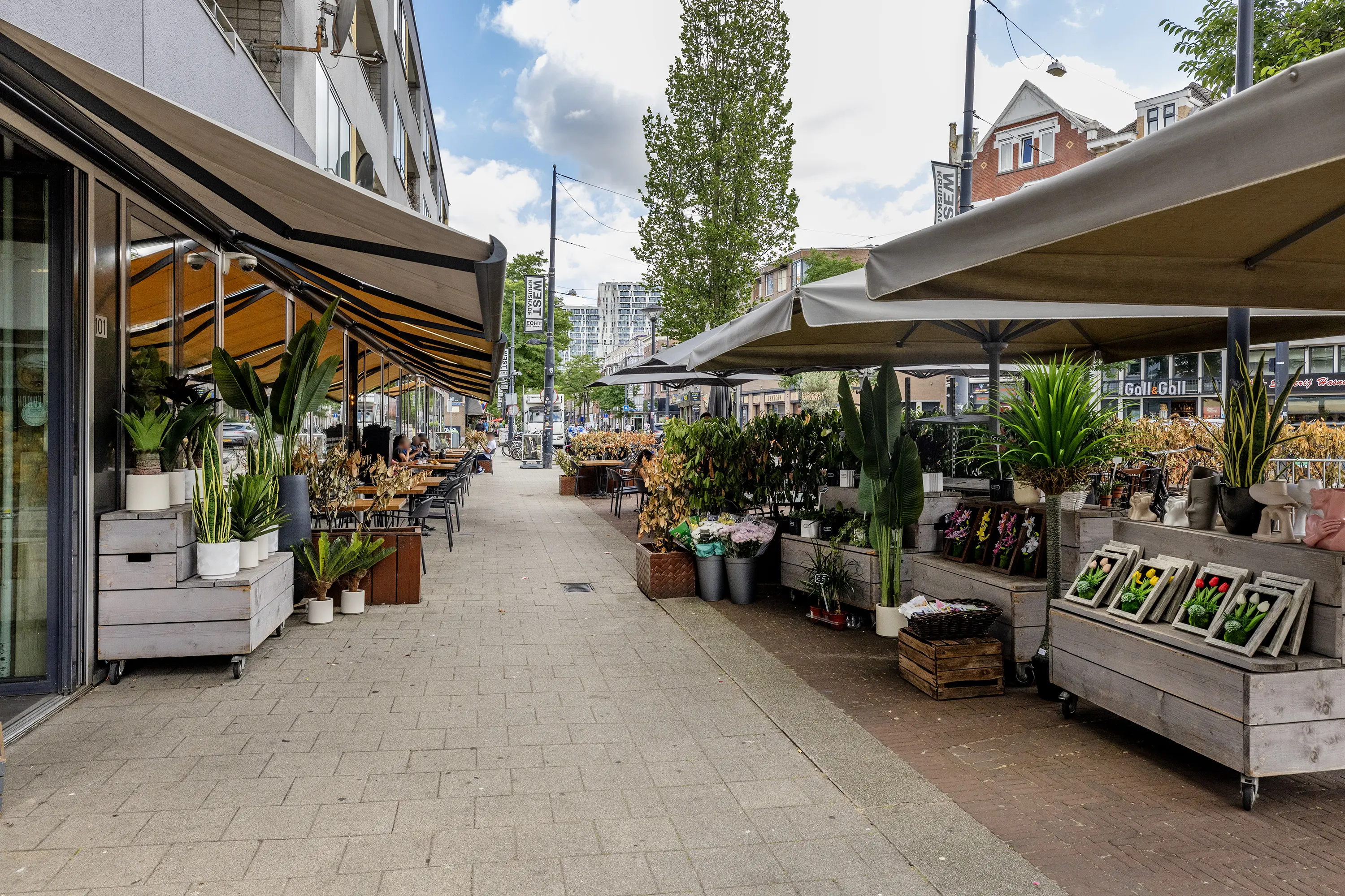 Zijdewindestraat 114