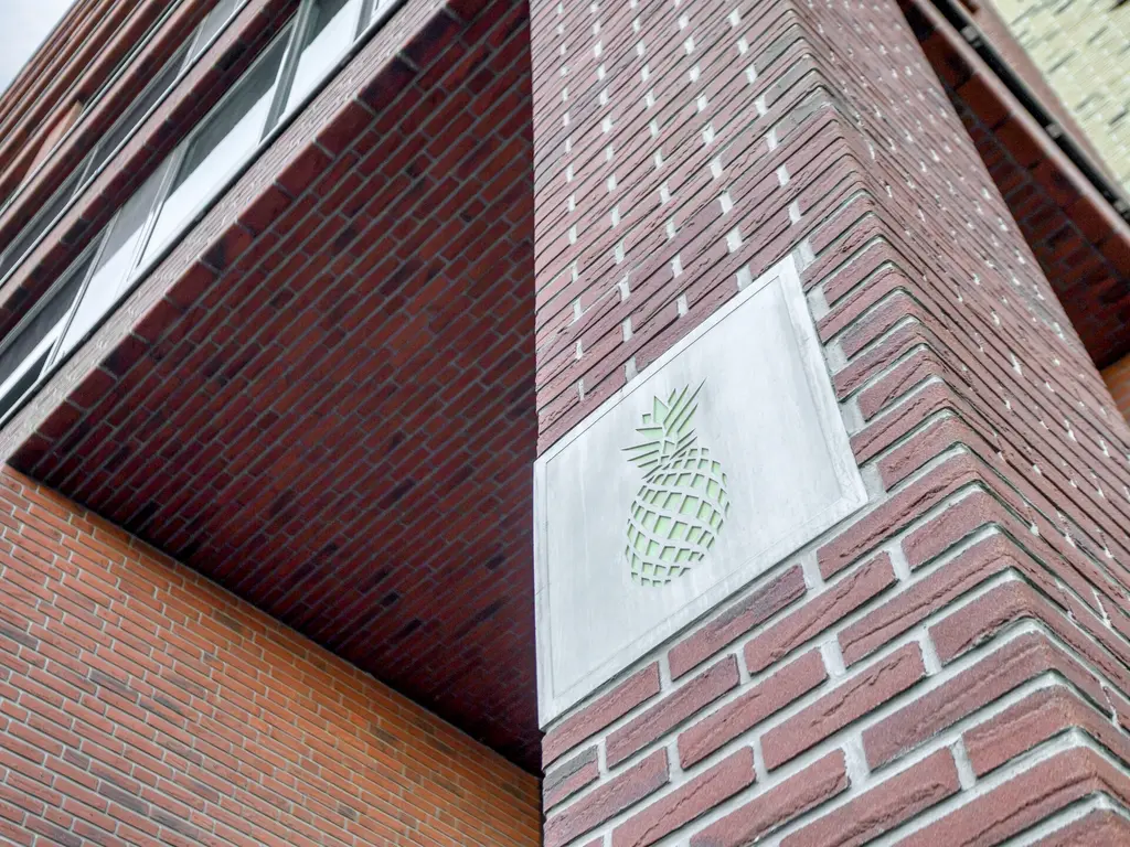 Ananasweg 12, Leiden