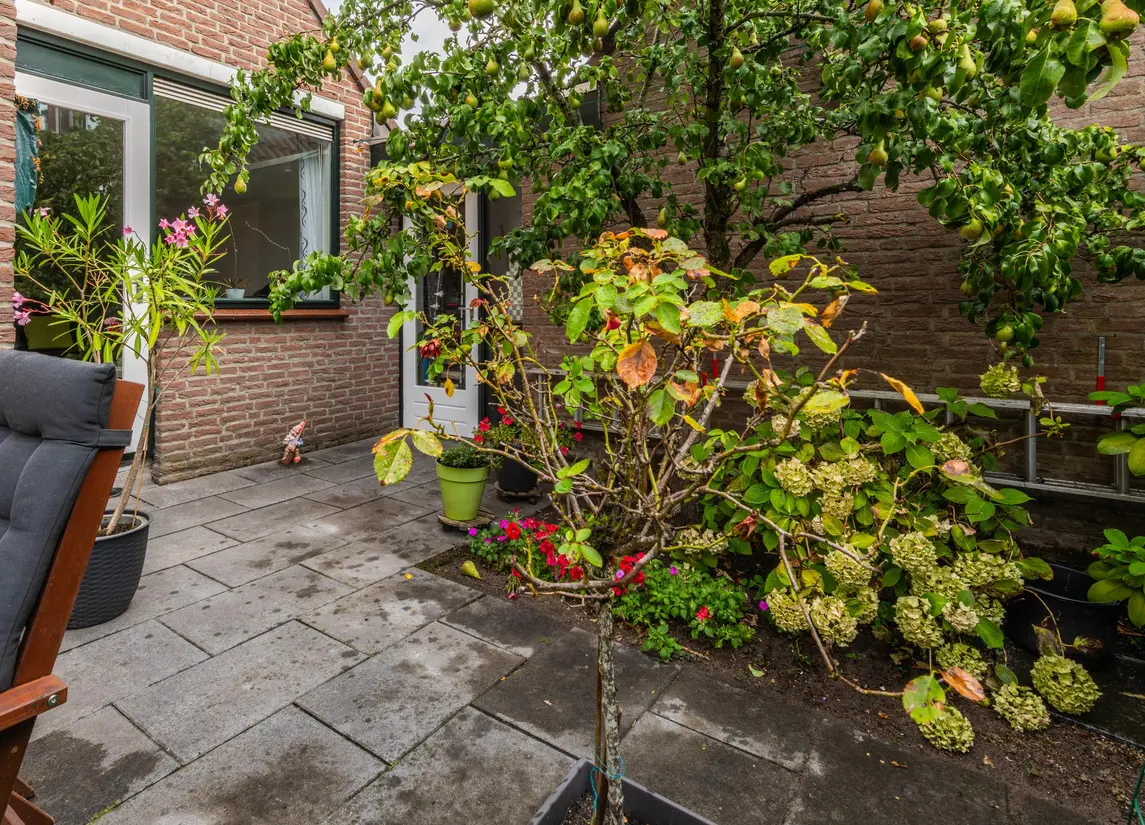 Struikheide 34