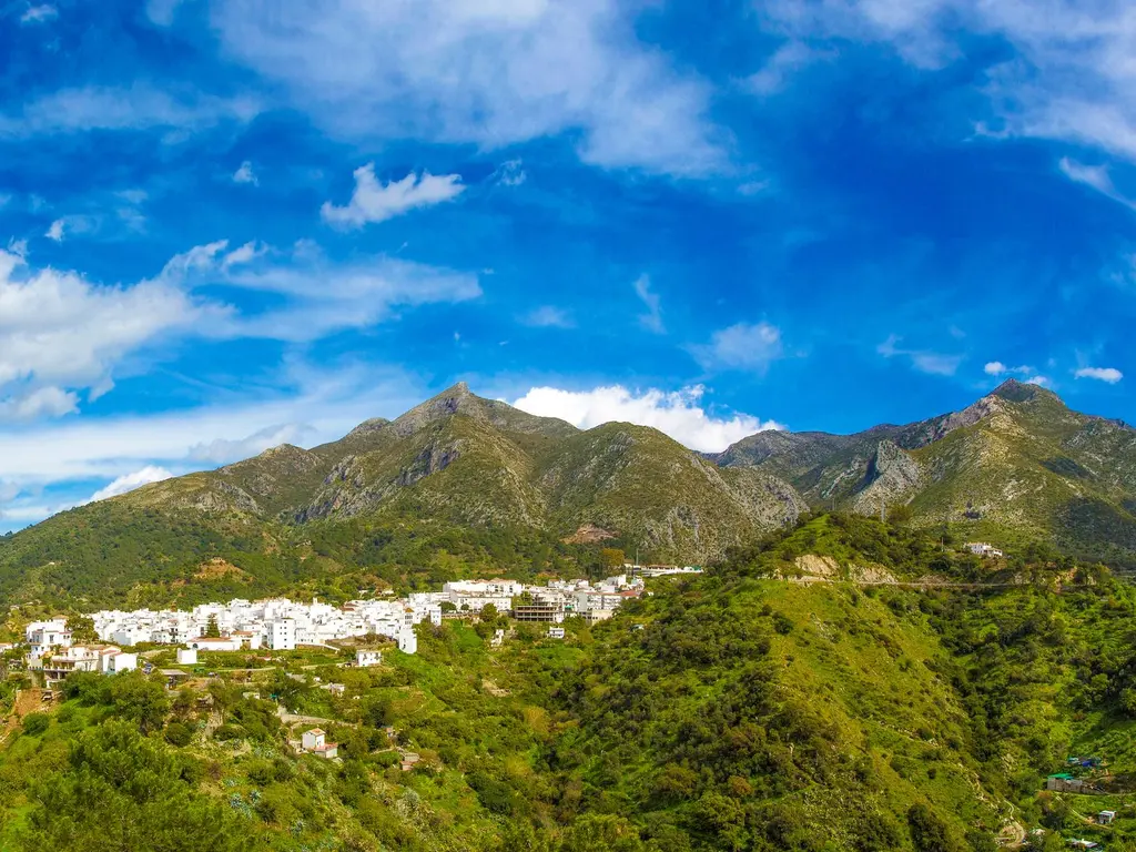 Almazara Views, Forest & Gardens (Costa del sol) , MÁLAGA