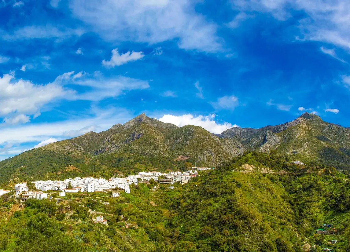 Almazara Views, Forest & Gardens (Costa del sol)