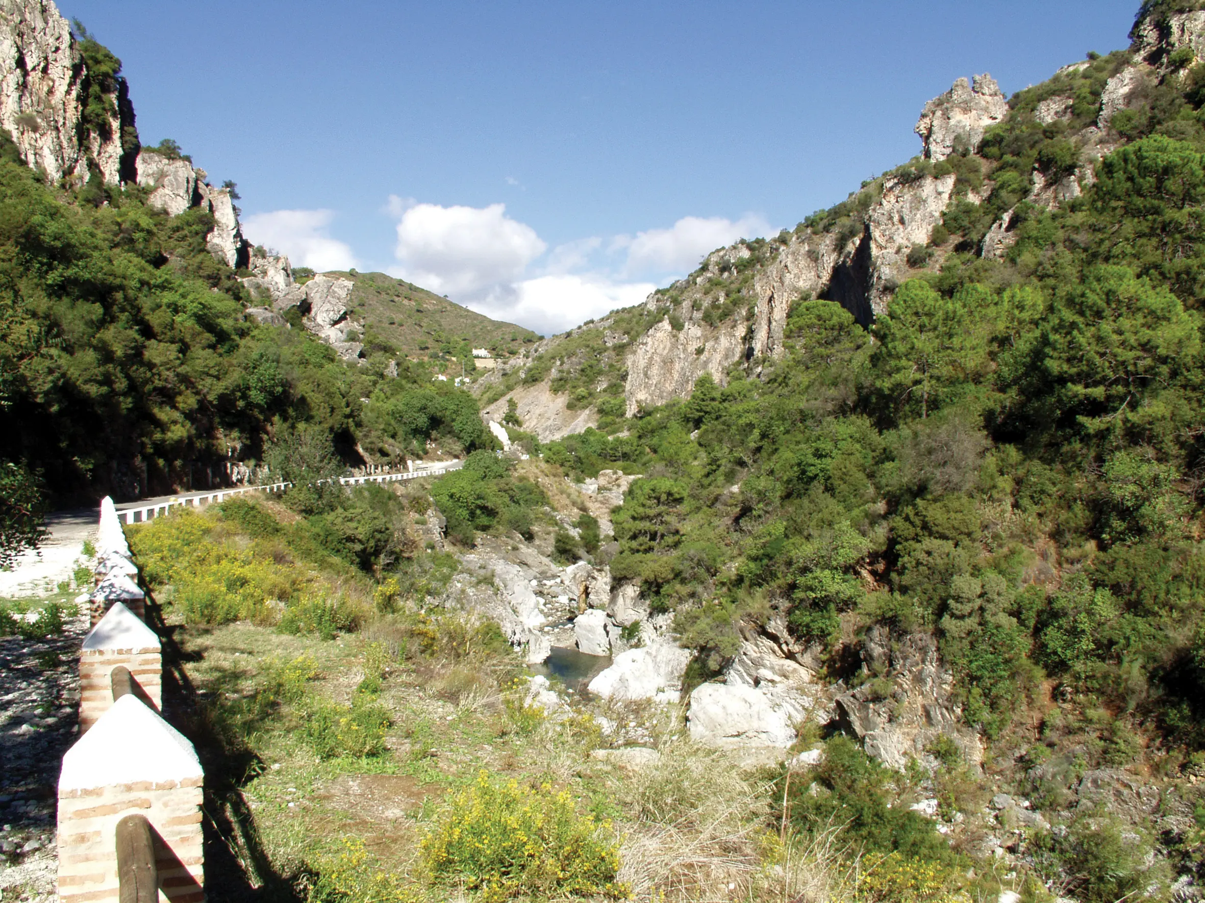 Fuente Lirios — Benahavís (Costa del sol) 