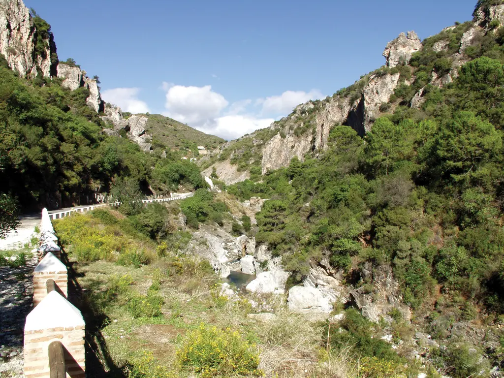 Fuente Lirios — Benahavís (Costa del sol) , MÁLAGA