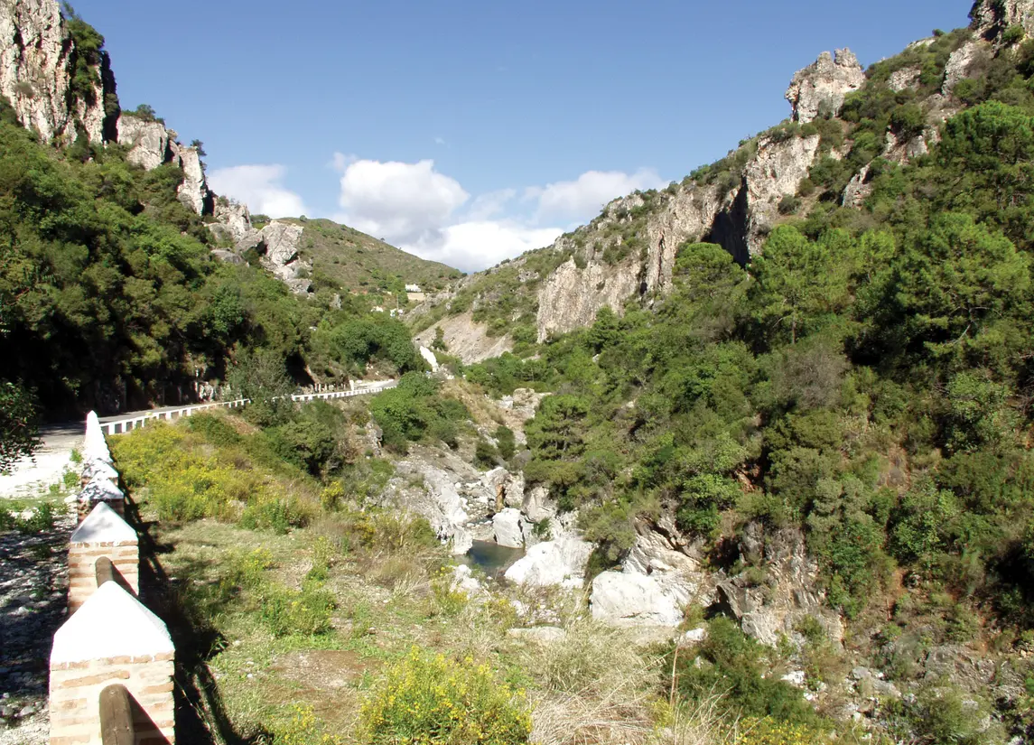 Fuente Lirios — Benahavís (Costa del sol)