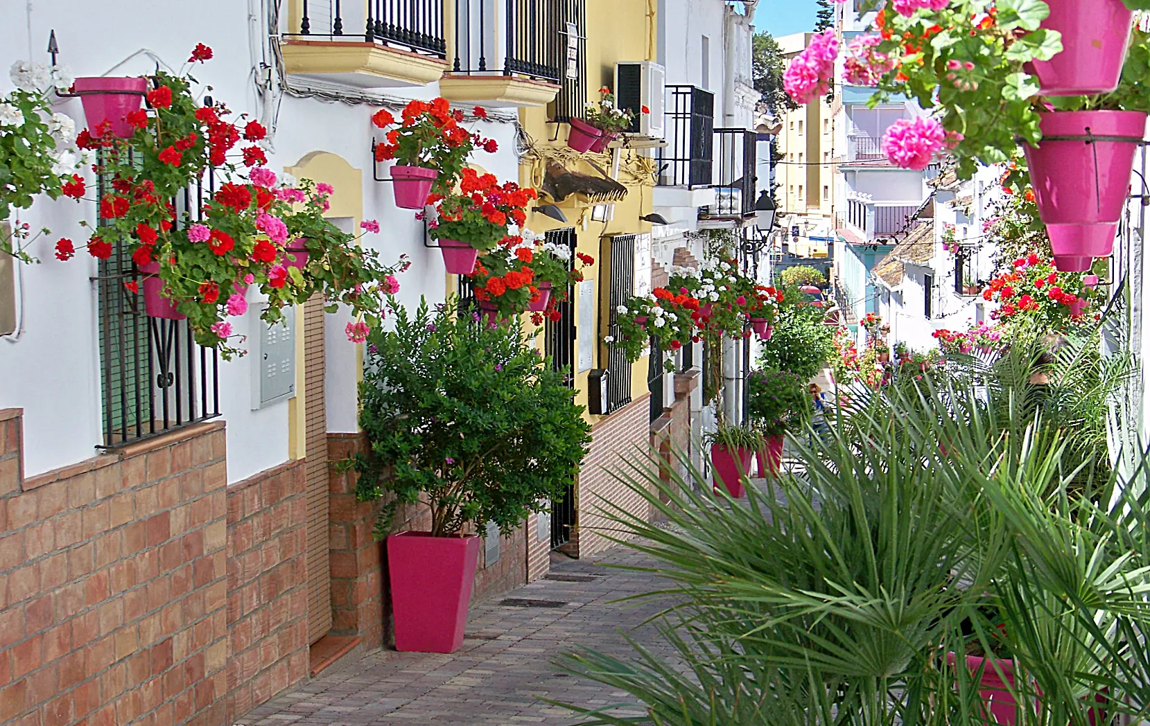 Sunny Golf — Estepona Golf (Costa del sol) 