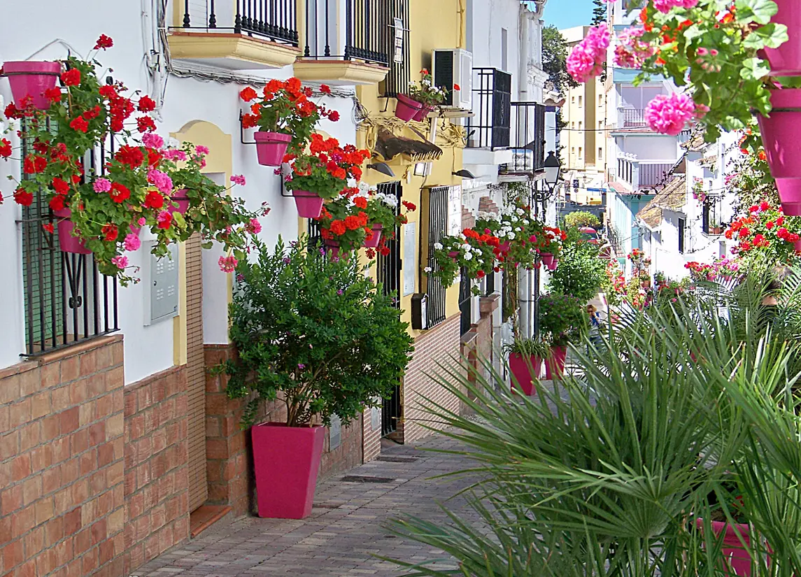 Sunny Golf — Estepona Golf (Costa del sol)
