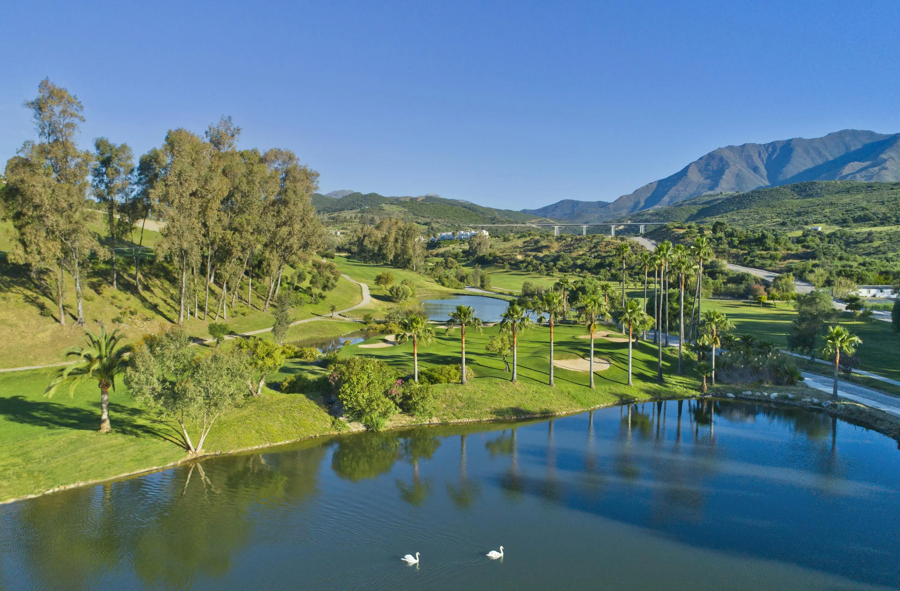 Sunny Golf — Estepona Golf (Costa del sol) 