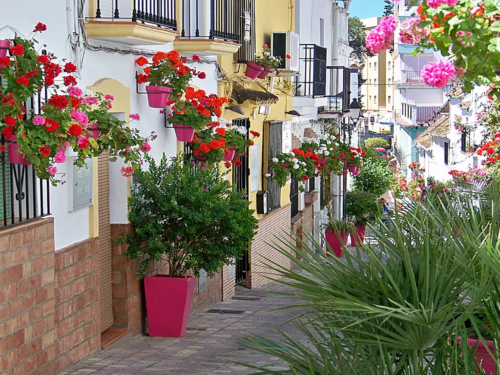 Sunny Golf — Estepona Golf (Costa del sol) , MÁLAGA