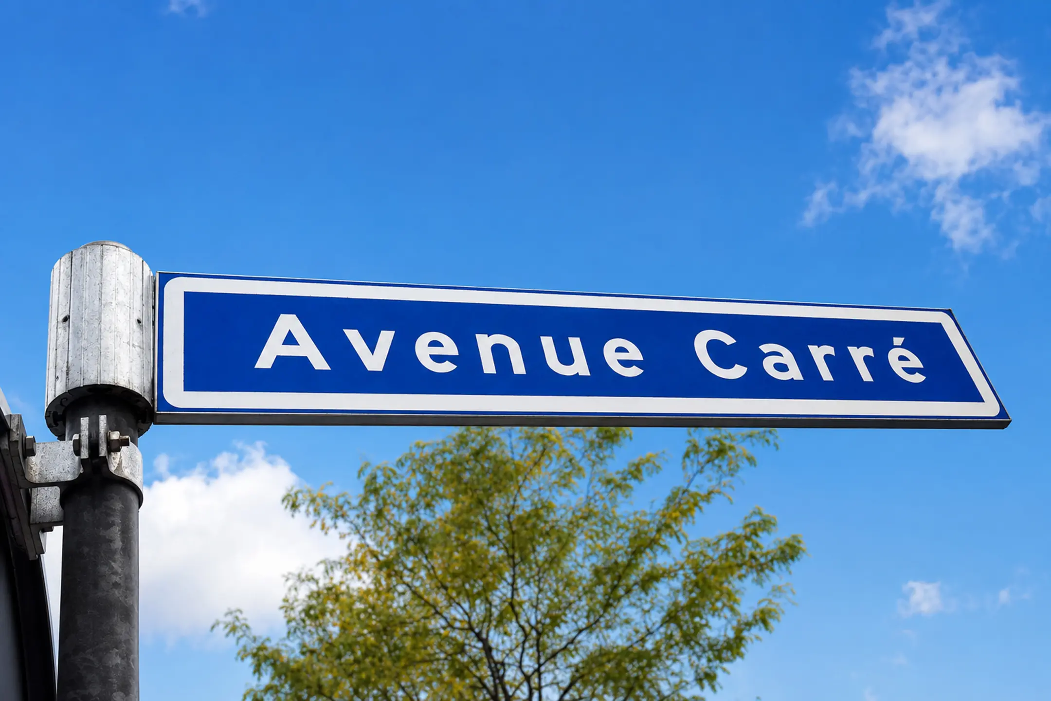 Avenue Carré 184