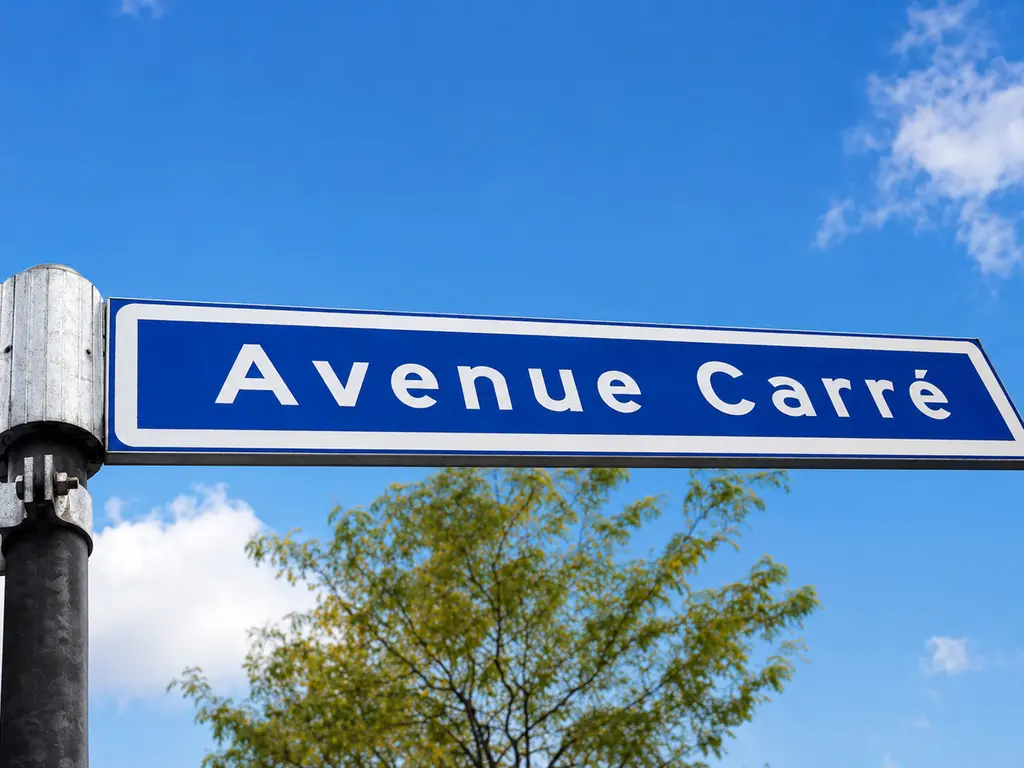 Avenue Carré 184, BARENDRECHT