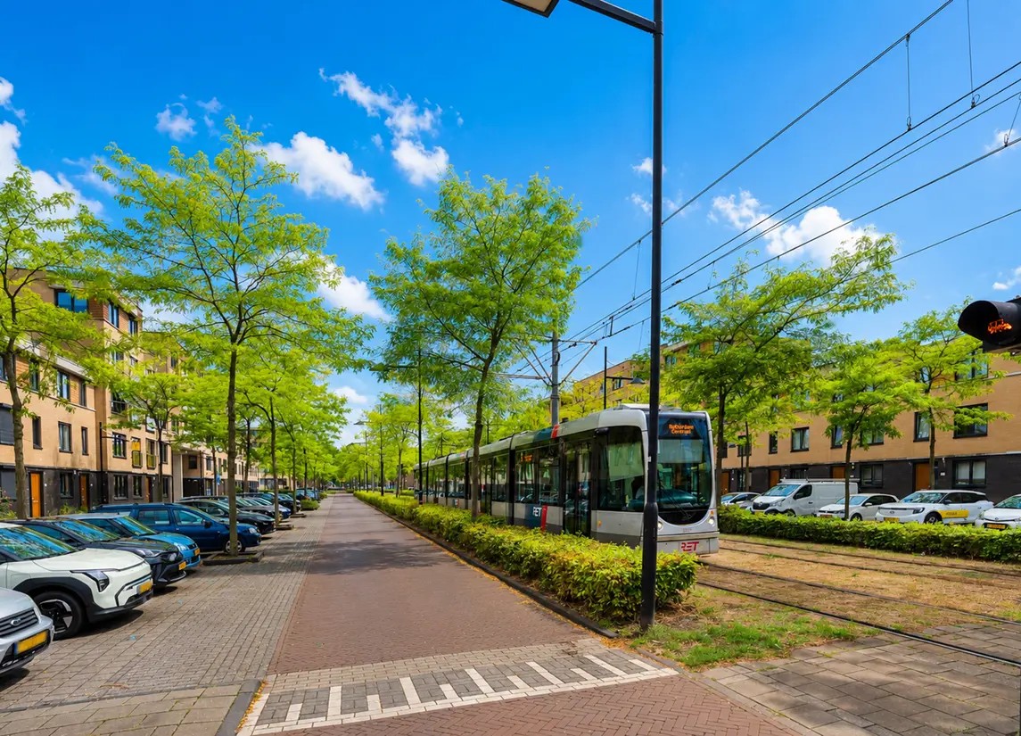 Avenue Carré 184