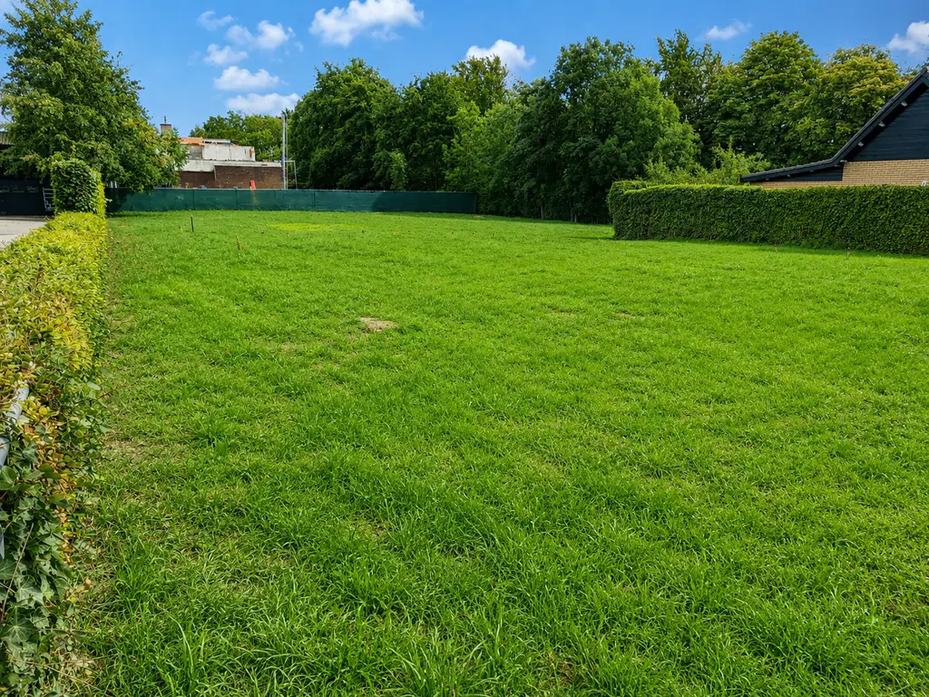 Molendijk , Rockanje