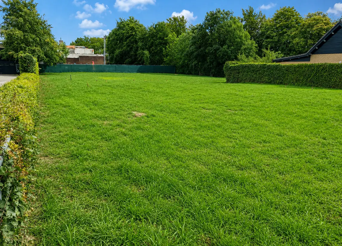 Molendijk