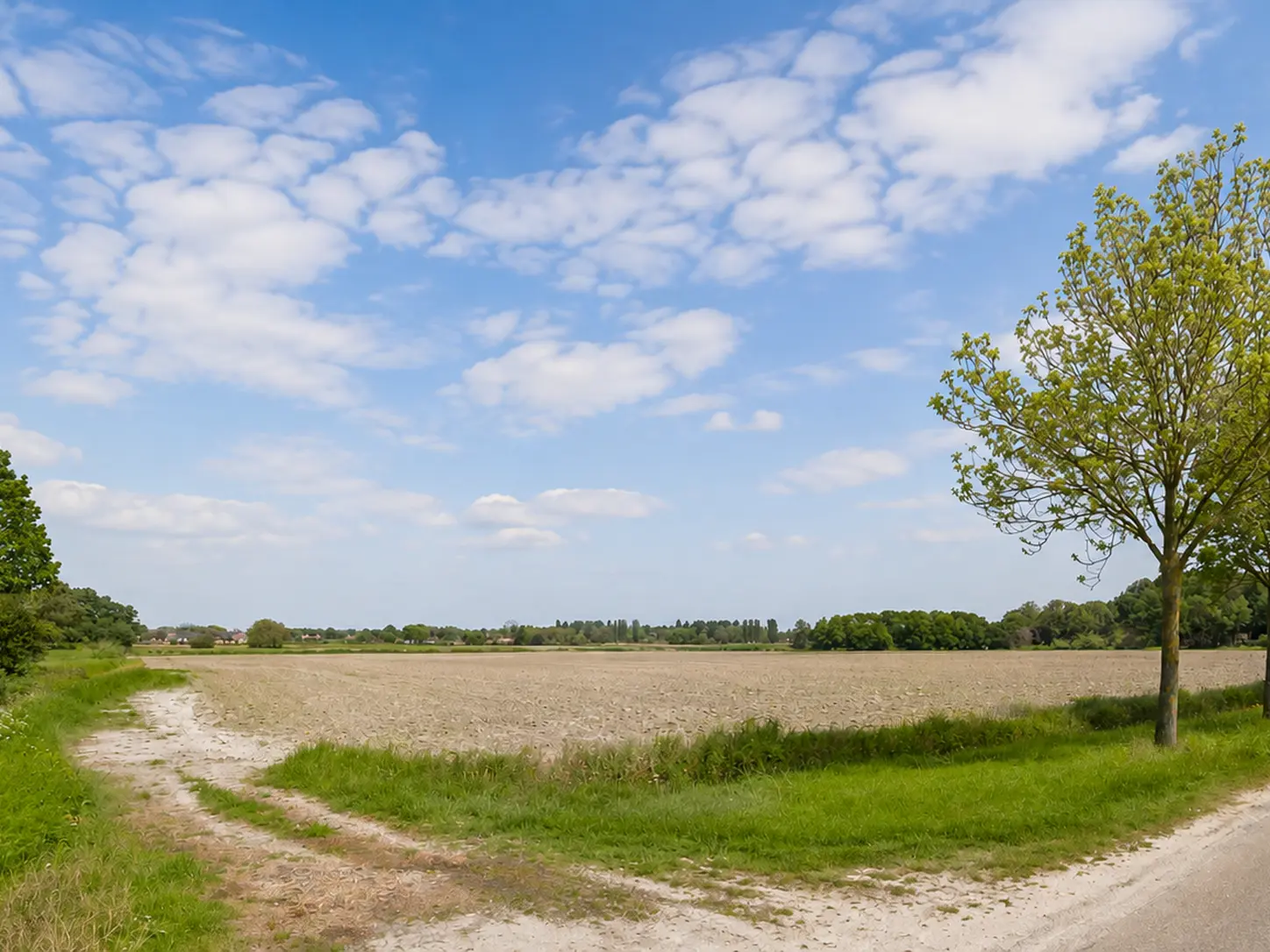 Molendijk 