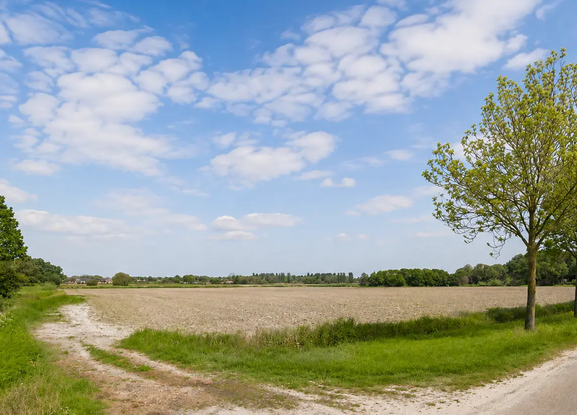 Molendijk