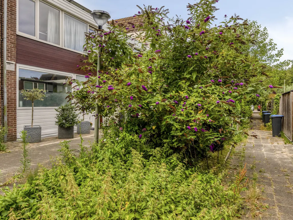 van Maerlantlaan 55, VLAARDINGEN