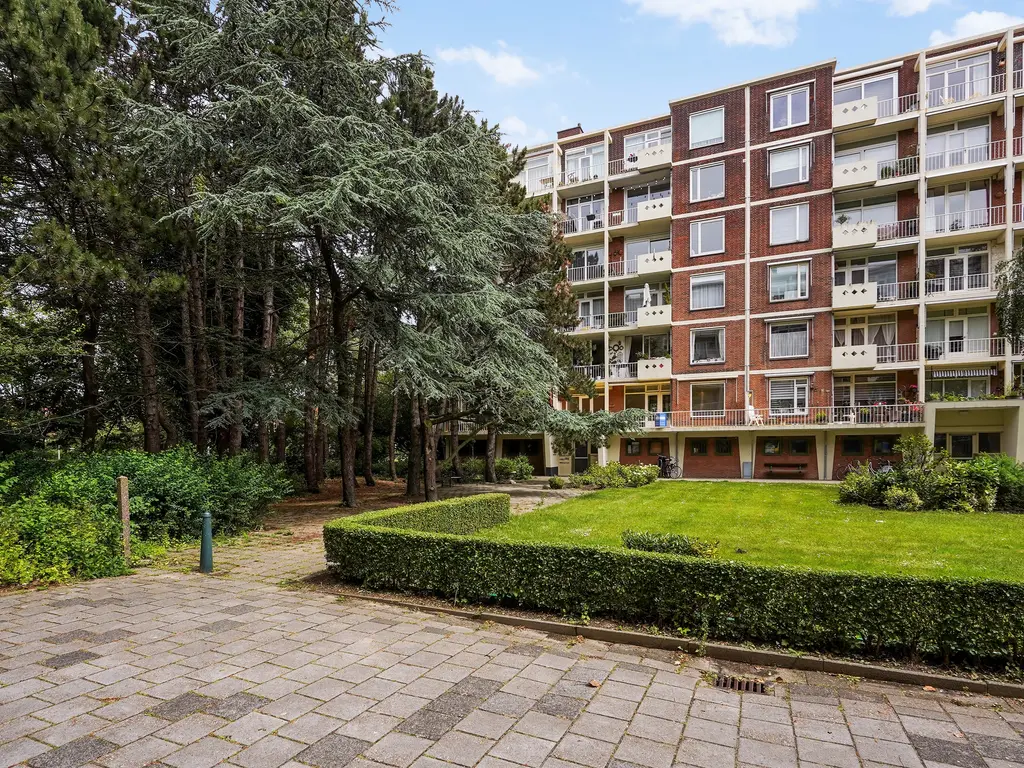 Ranonkelstraat 171, Den Haag