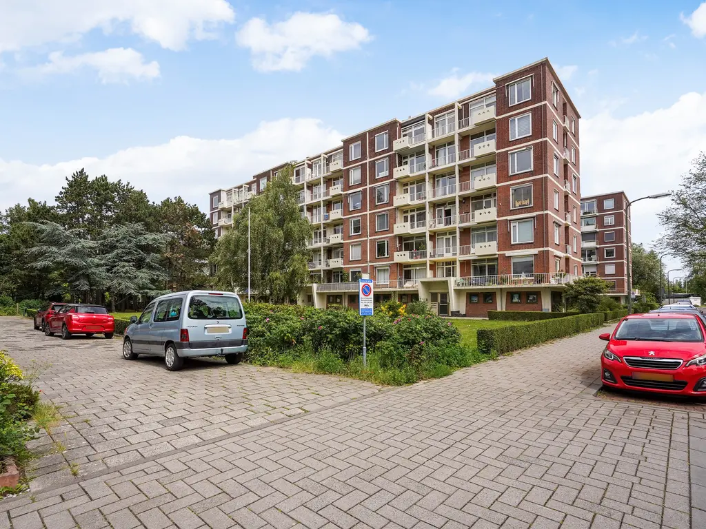 Ranonkelstraat 171, Den Haag