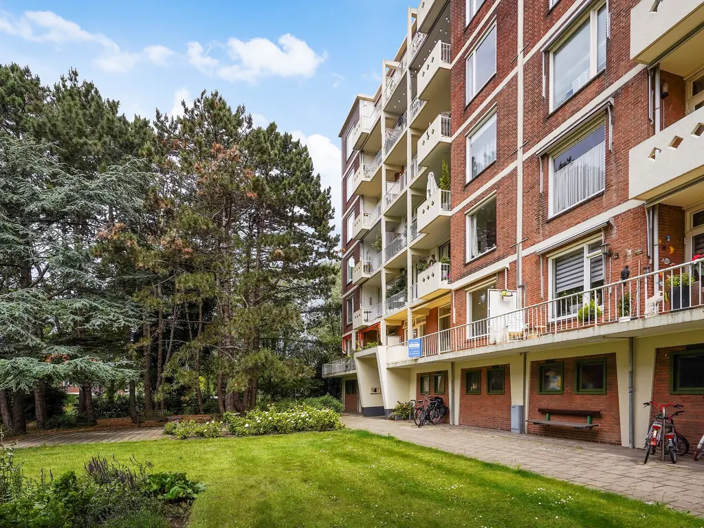 Ranonkelstraat 171, Den Haag