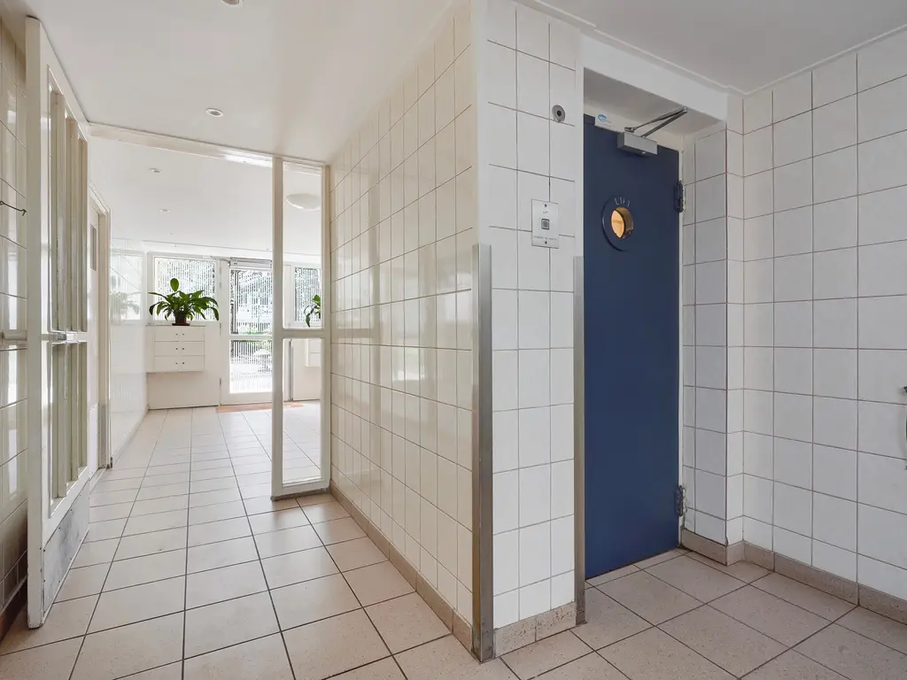 Ranonkelstraat 171, Den Haag