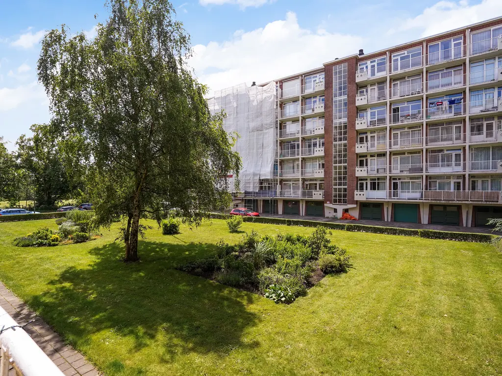 Ranonkelstraat 171, Den Haag