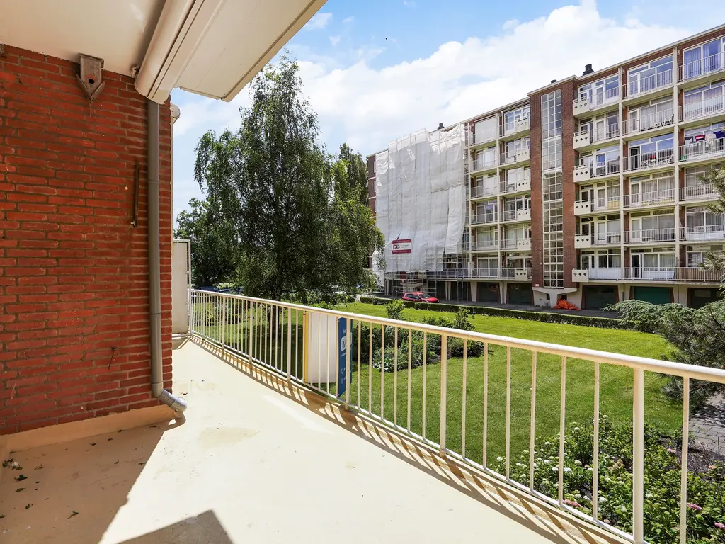 Ranonkelstraat 171, Den Haag