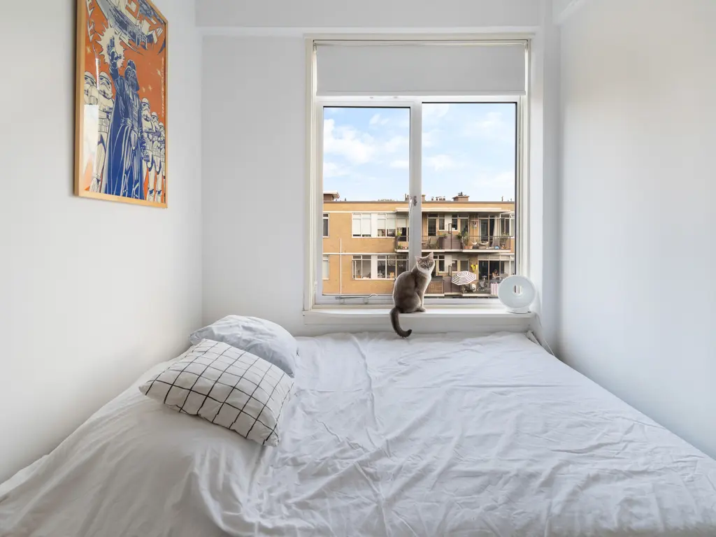 Van der Horststraat 11F, ROTTERDAM