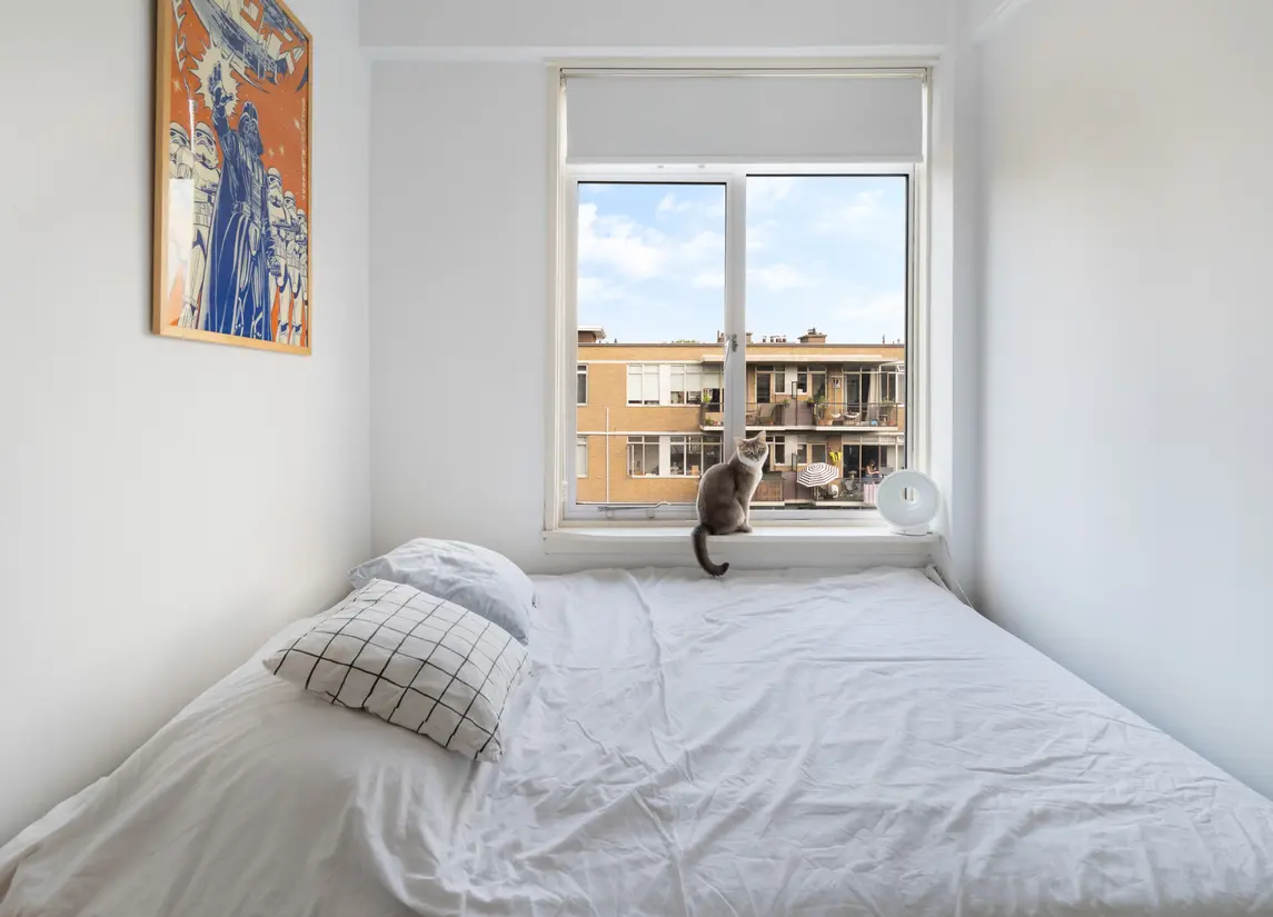 Van der Horststraat 11F