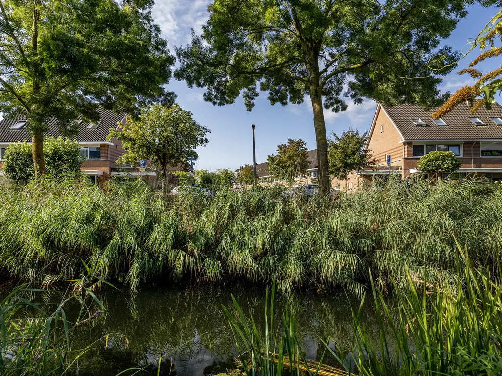Rietvelddreef 56, BARENDRECHT