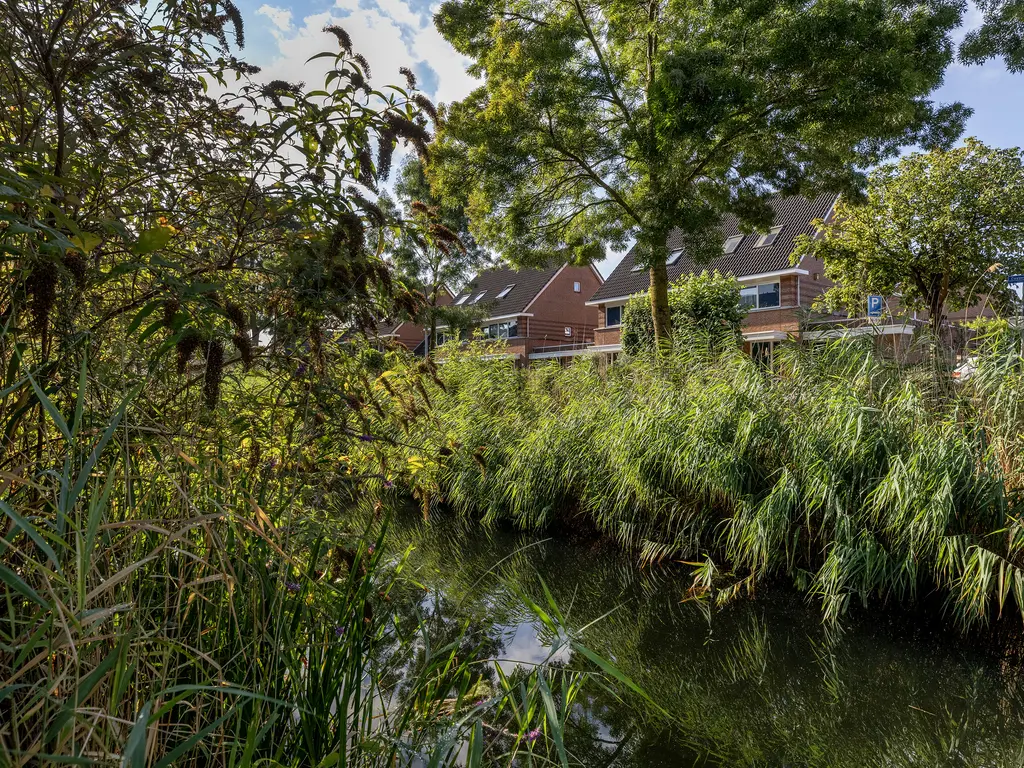 Rietvelddreef 56, BARENDRECHT