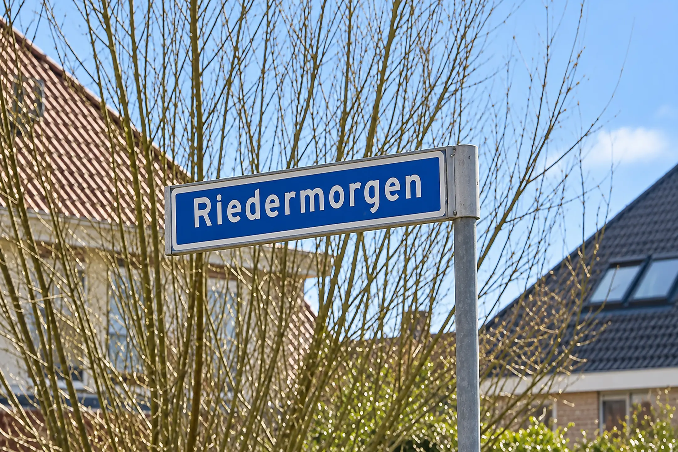Riedermorgen 1