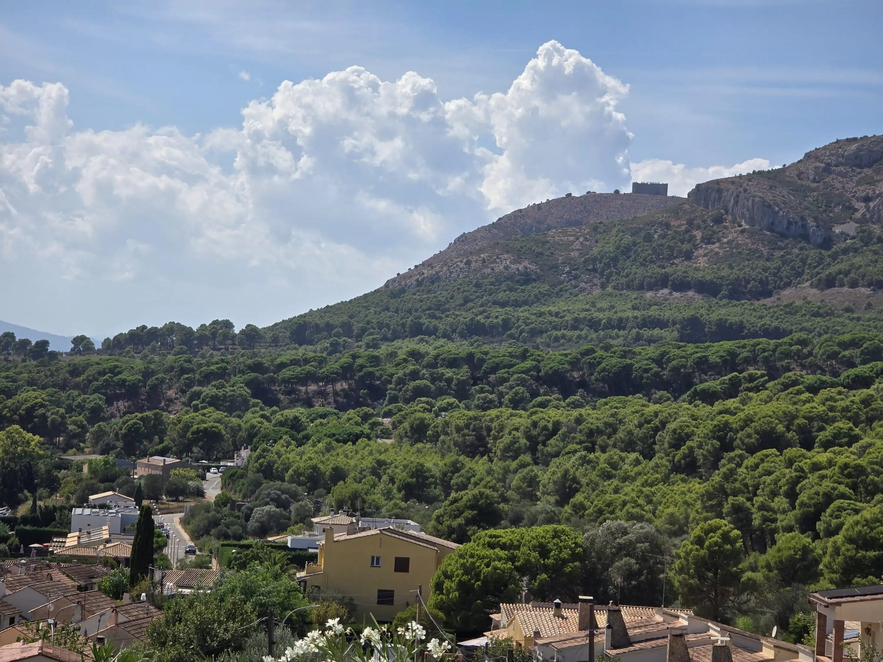 Avinguda Grècia  