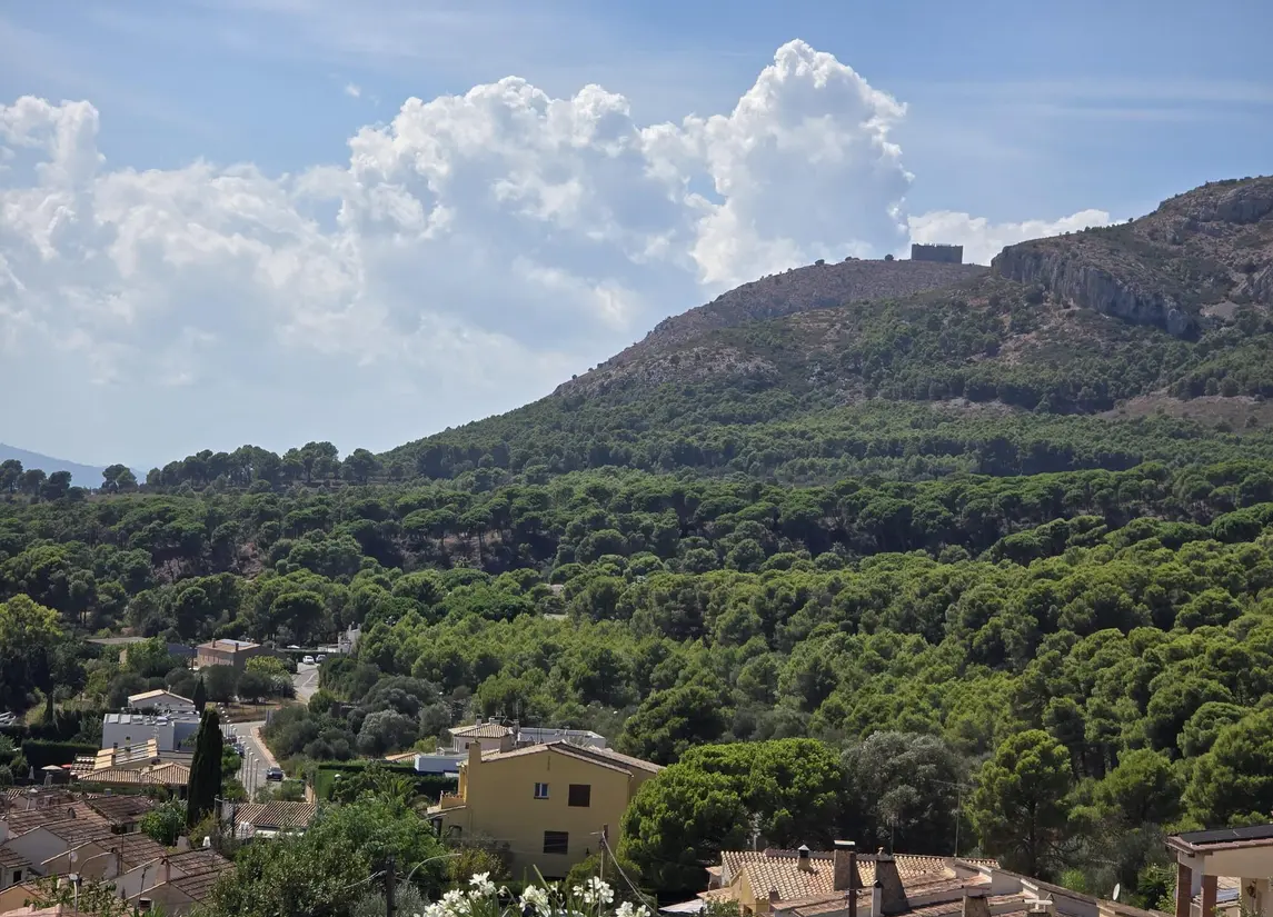 Avinguda Grècia  