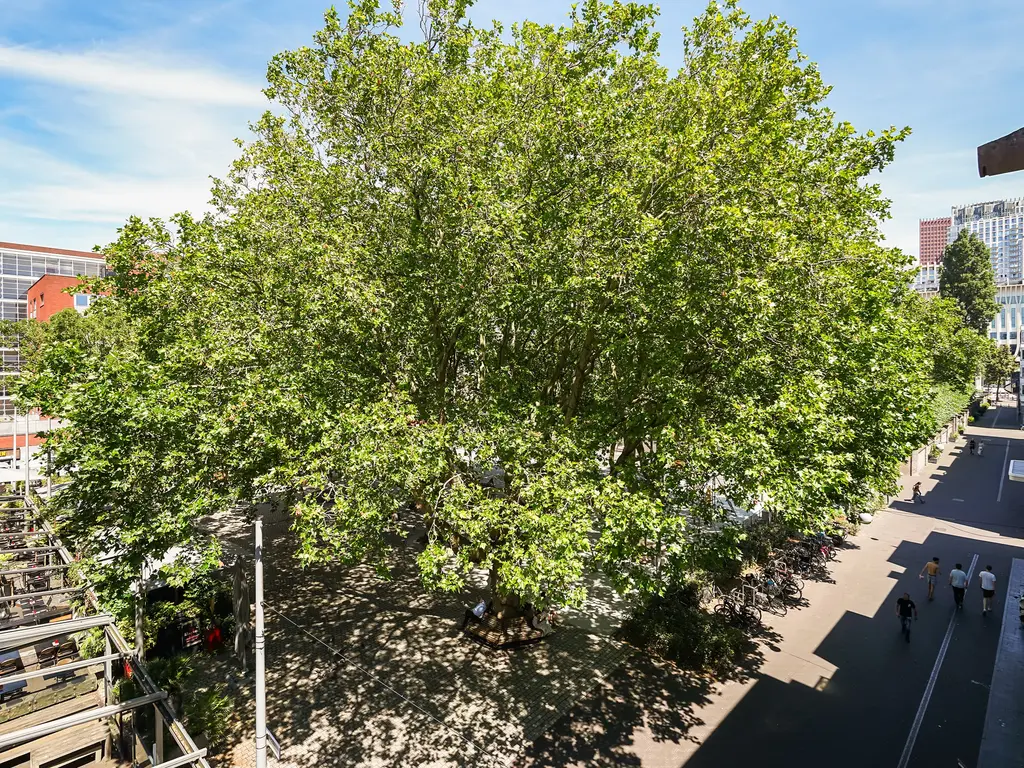 St. Jacobstraat 25A, 's-Gravenhage