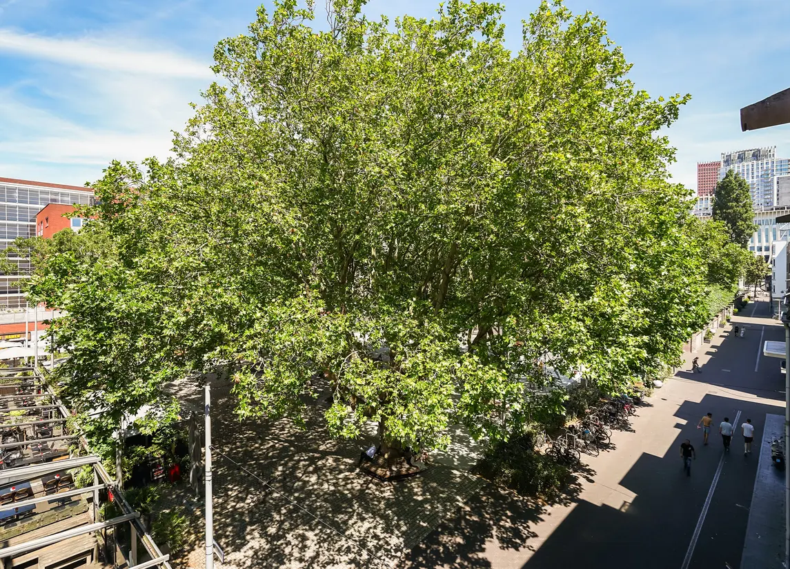 St. Jacobstraat 25A