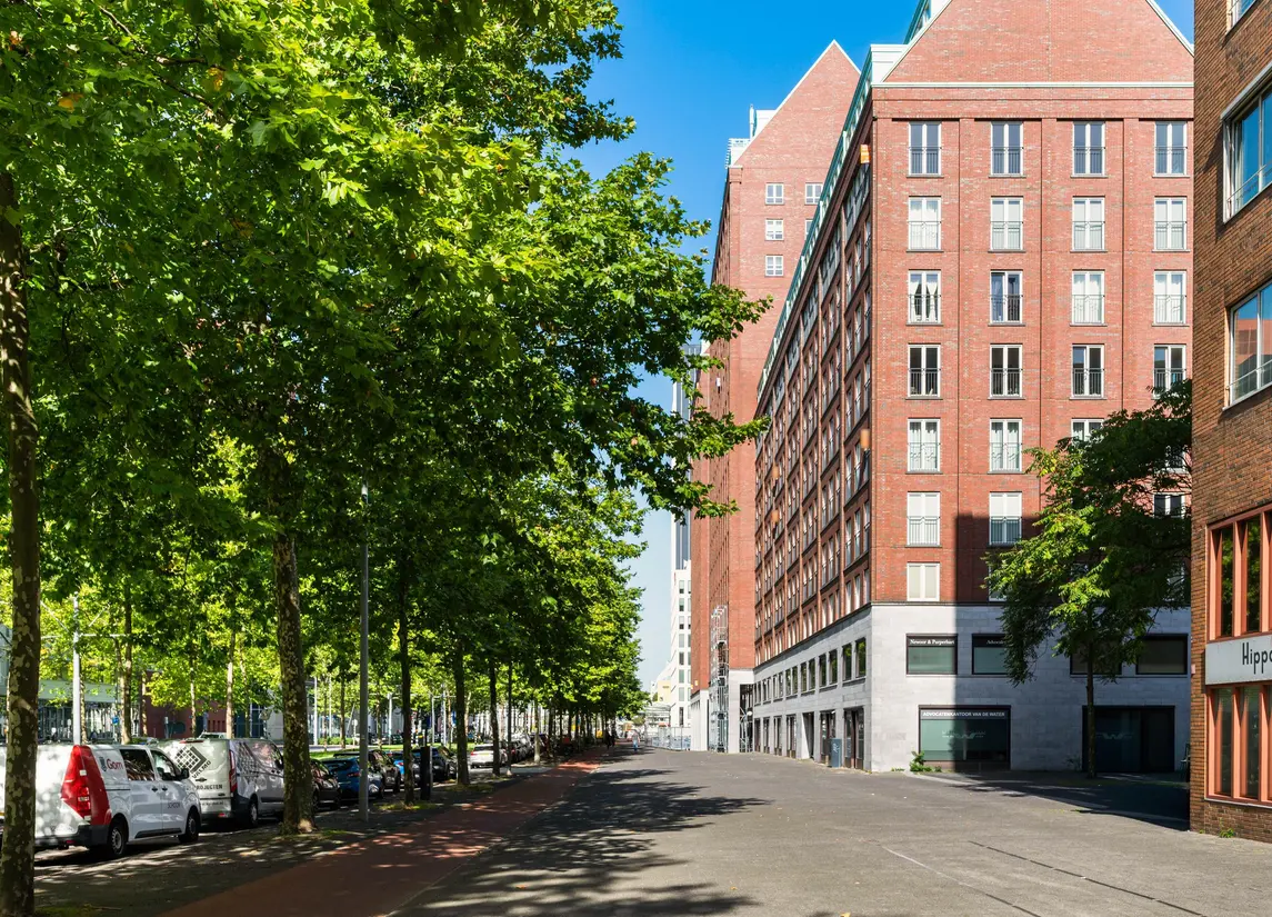 Laan op Zuid 320