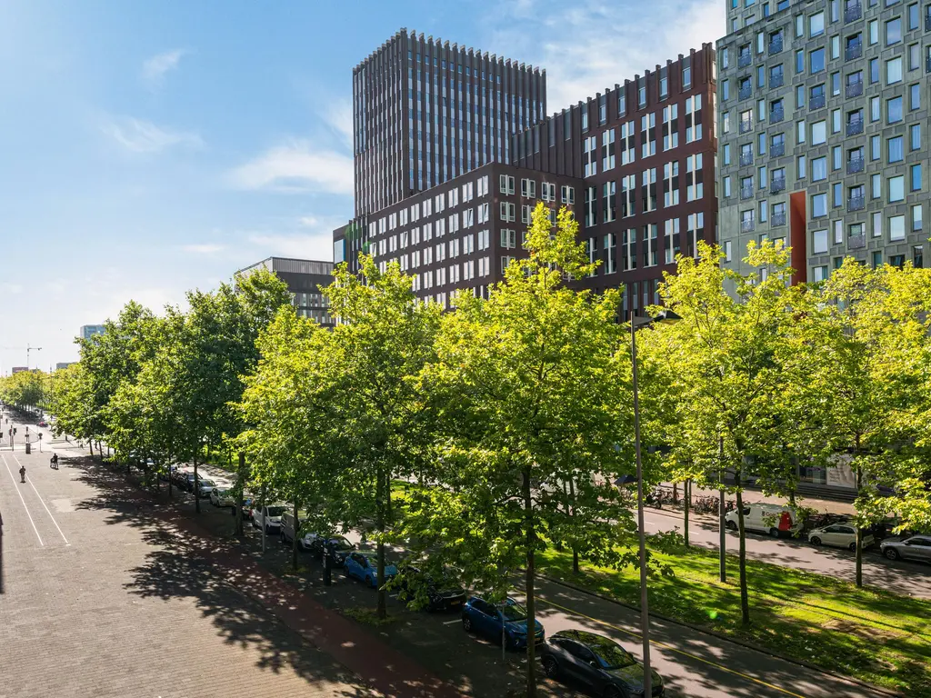 Laan op Zuid 320, ROTTERDAM
