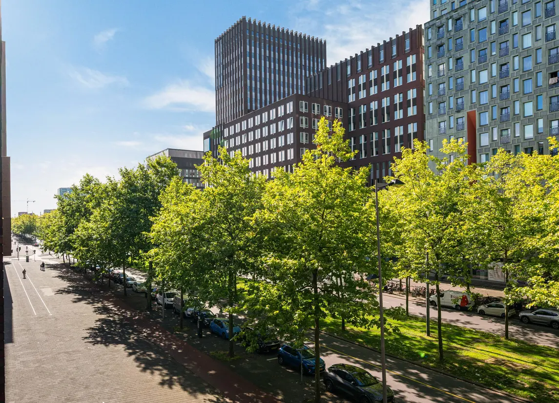 Laan op Zuid 320