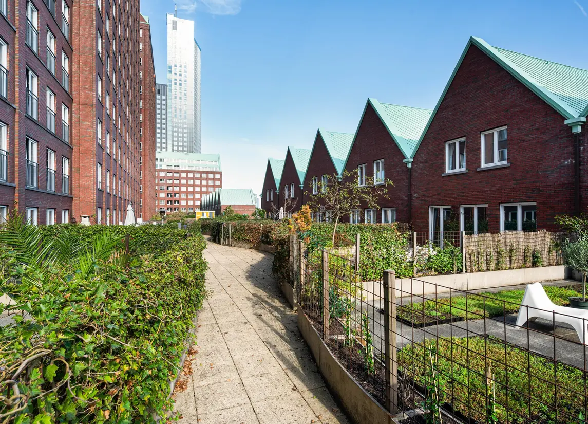 Laan op Zuid 320