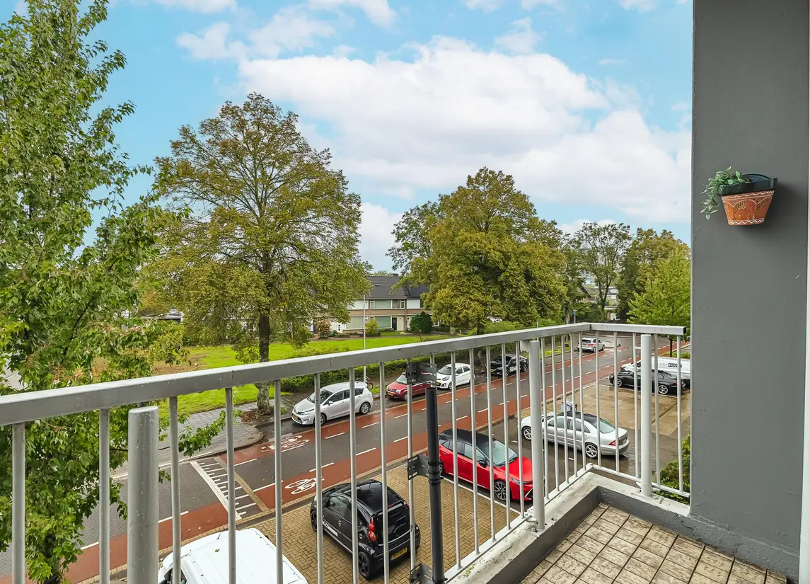Pisanostraat 392