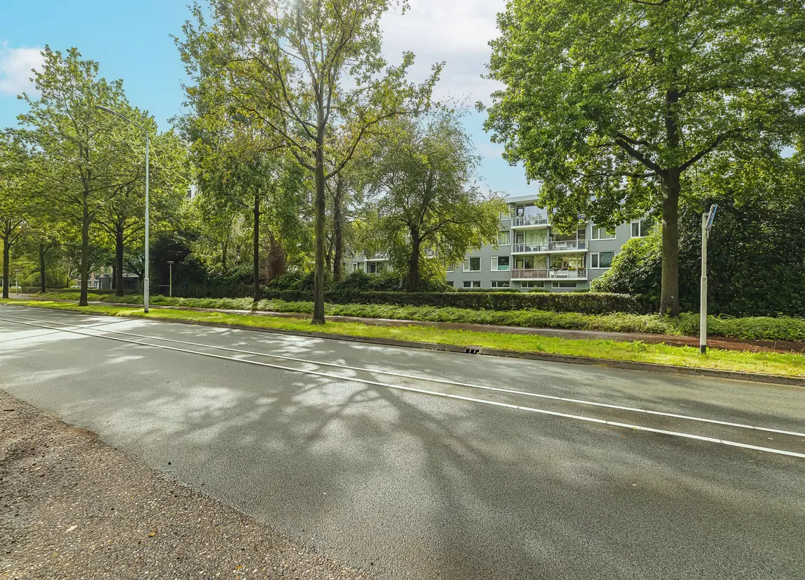 Pisanostraat 392