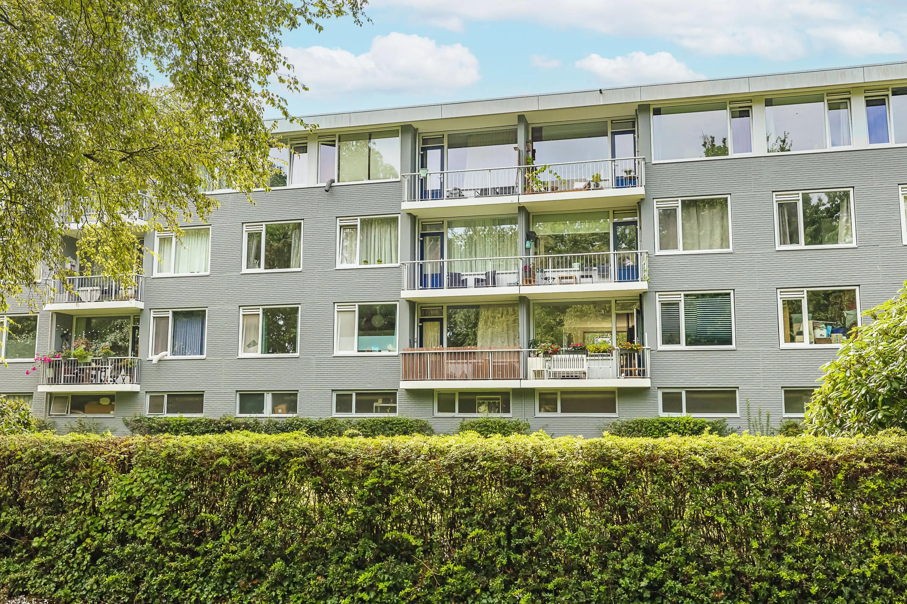 Pisanostraat 392