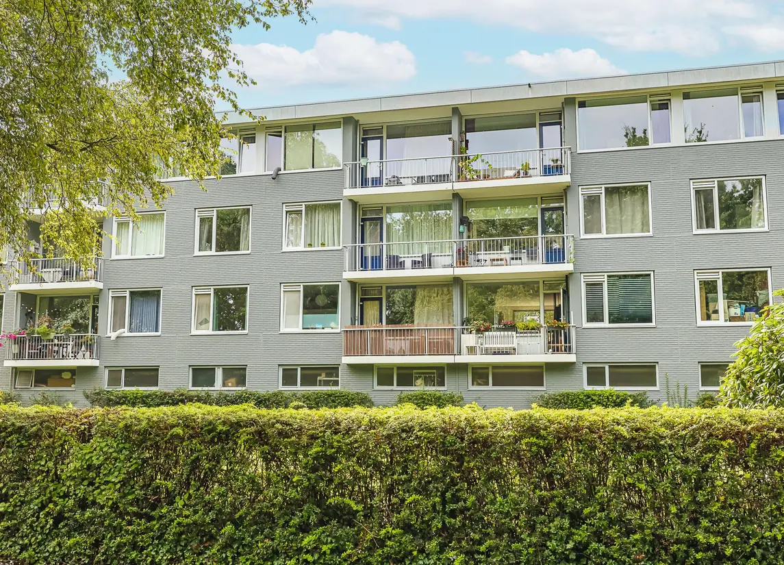 Pisanostraat 392