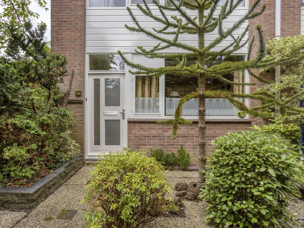 Meidoorn 36, Naaldwijk