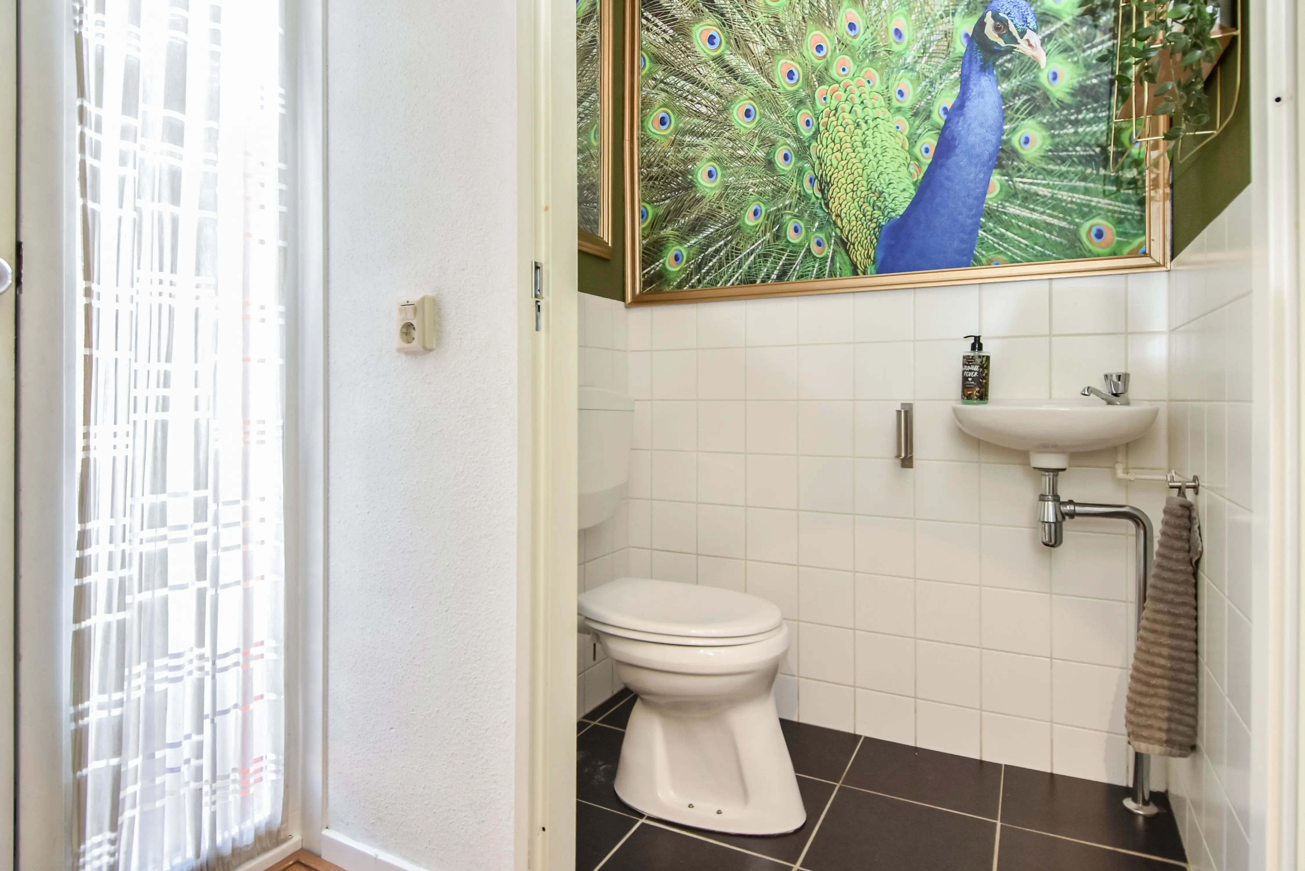 Operatie Mannahof 7